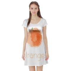 Orange Fruit Watercolor Painted Short Sleeve Skater Dress by Mariart