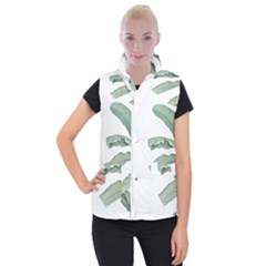 Palm Leaves Women s Button Up Vest by goljakoff