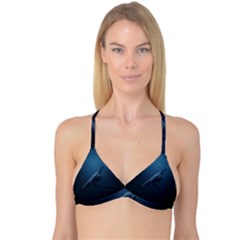 Whales Family Reversible Tri Bikini Top by goljakoff