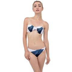 Blue Whales Classic Bandeau Bikini Set by goljakoff