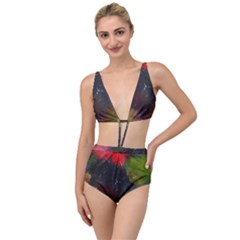 Color Splashes Tied Up Two Piece Swimsuit by goljakoff