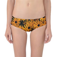 Rudbeckias  Classic Bikini Bottoms by Sobalvarro