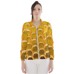 Hexagonal Windows Women s Windbreaker by essentialimage365