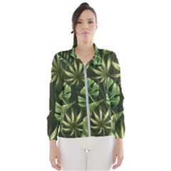 Green Tropical Leaves Women s Windbreaker by goljakoff