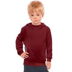 Color Blood Red Kids  Hooded Pullover by Kultjers