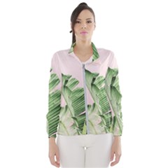 Palm Leaves On Pink Women s Windbreaker by goljakoff