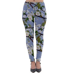 Pear Branch With Flowers Lightweight Velour Leggings by SychEva