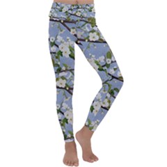 Pear Branch With Flowers Kids  Lightweight Velour Classic Yoga Leggings by SychEva