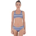 Linear Cold Print Design Criss Cross Bikini Set View1