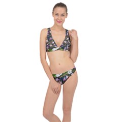 Apple Blossom  Classic Banded Bikini Set  by SychEva