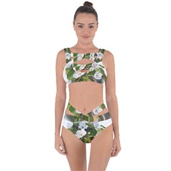 F69ccc07-4684-4c4d-951f-7f1801ec955e Bandaged Up Bikini Set  by SychEva