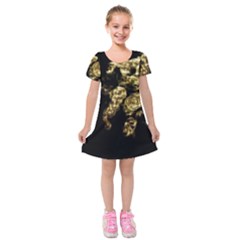 Bud Gilt  Kids  Short Sleeve Velvet Dress by MRNStudios