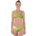 Wonderful Gradient Shades 1 Criss Cross Bikini Set View1