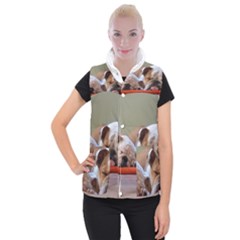 2 Sleeping Bulldogs Women s Button Up Vest by SomethingForEveryone