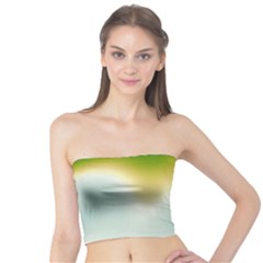 Gradientcolors Tube Top by Sparkle