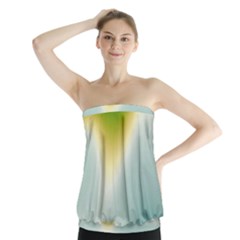 Gradientcolors Strapless Top by Sparkle