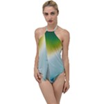 Gradientcolors Go with the Flow One Piece Swimsuit