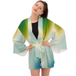 Gradientcolors Long Sleeve Kimono