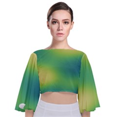 Gradientcolors Tie Back Butterfly Sleeve Chiffon Top by Sparkle