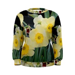 Daffodils In Bloom Women s Sweatshirt by thedaffodilstore