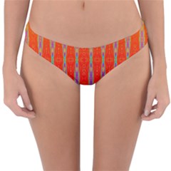 Sunsets Aplenty Reversible Hipster Bikini Bottoms by Thespacecampers