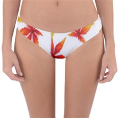 Abstract-b 001 Reversible Hipster Bikini Bottoms by nate14shop