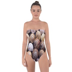 Snail Shells Pattern Arianta Arbustorum Tie Back One Piece Swimsuit