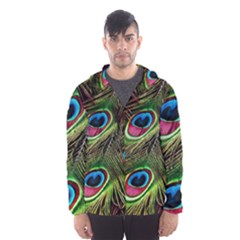 Peacock-feathers-color-plumage Men s Hooded Windbreaker by Celenk