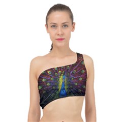 Beautiful Peacock Feather Spliced Up Bikini Top  by Jancukart