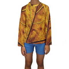 Leaf Leaf Veins Fall Kids  Long Sleeve Swimwear by artworkshop