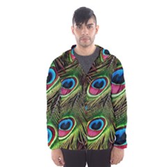 Peacock Feathers Color Plumage Men s Hooded Windbreaker by Celenk