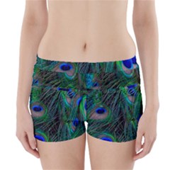 Beautiful Peacock Feathers Boyleg Bikini Wrap Bottoms by Ravend