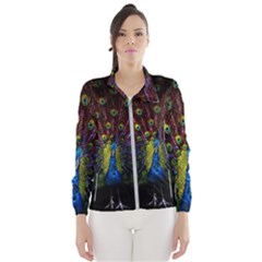 Beautiful Peacock Feather Women s Windbreaker by Jancukart