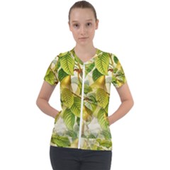 Pear Fruit Tree Organic Pattern Short Sleeve Zip Up Jacket by Wegoenart