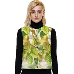 Pear Fruit Tree Organic Pattern Women s Short Button Up Puffer Vest by Wegoenart