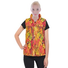Autumn Background Maple Leaves Women s Button Up Vest by artworkshop