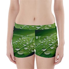 Green Water Leaf Boyleg Bikini Wrap Bottoms by artworkshop