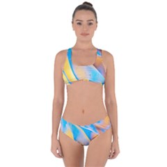 Water And Sunflower Oil Criss Cross Bikini Set by artworkshop