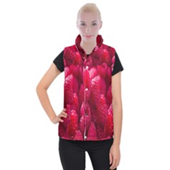 Raspberries Women s Button Up Vest by artworkshop