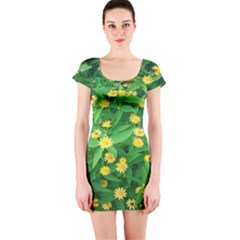 Flower Plant Spring Short Sleeve Bodycon Dress by artworkshop