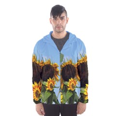 Sunflower Flower Yellow Men s Hooded Windbreaker by artworkshop