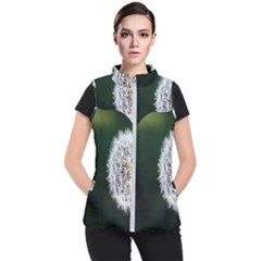 White Flower Women s Puffer Vest by artworkshop