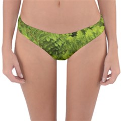 Botanical Motif Plants Detail Photography Reversible Hipster Bikini Bottoms by dflcprintsclothing