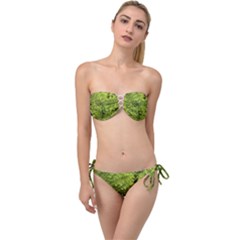 Botanical Motif Plants Detail Photography Twist Bandeau Bikini Set by dflcprintsclothing