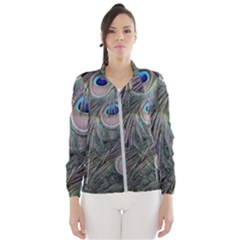 Peacock Feathers Peacock Bird Feathers Women s Windbreaker by Jancukart