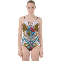 Imperial Coat Of Arms Of Iran, 1932-1979 Cut Out Top Tankini Set by abbeyz71