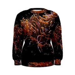 Sea Anemone Coral Underwater Ocean Sea Water Women s Sweatshirt by pakminggu