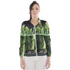 Drink Spinach Smooth Apple Ginger Women s Windbreaker by Ndabl3x