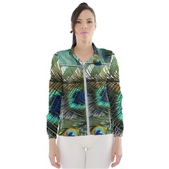 Peacock Feathers Blue Green Texture Women s Windbreaker by Wav3s