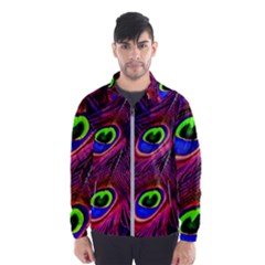 Peacock Feathers Color Plumage Men s Windbreaker by Celenk